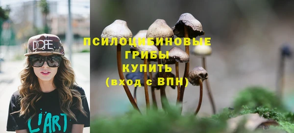 крисы Алексин