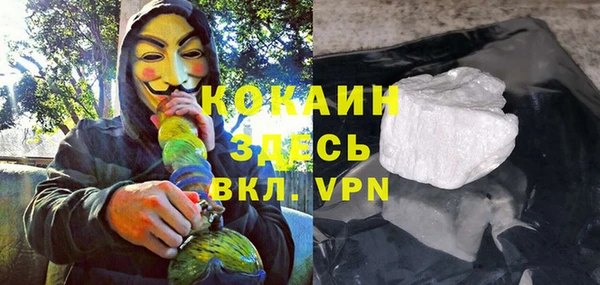 крисы Алексин